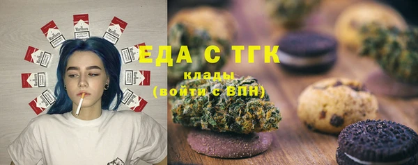 индика Арсеньев