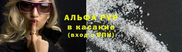 гашик Аркадак