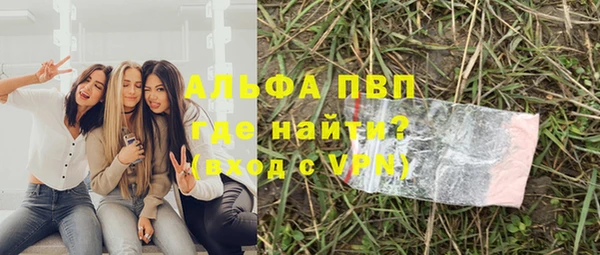 гашик Аркадак