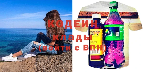 индика Арсеньев