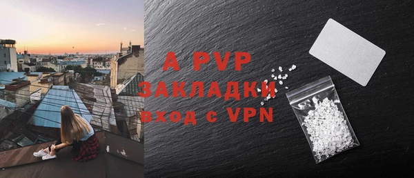 индика Арсеньев
