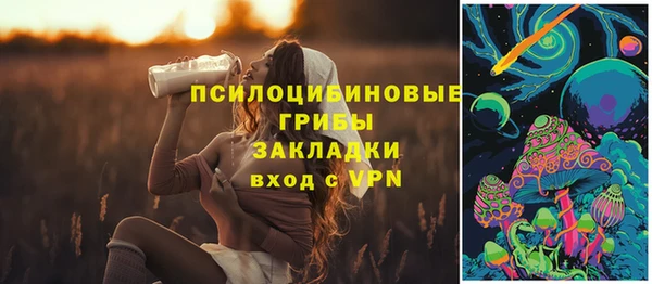 гашик Аркадак