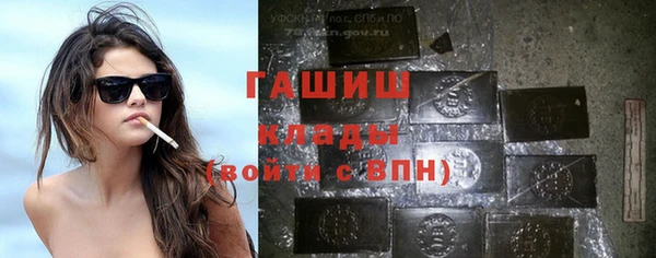 индика Арсеньев