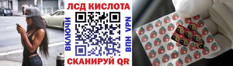 Купить где  Дрезна  Марки NBOMe 1,5мг 